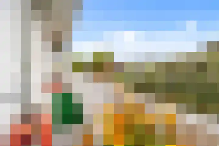 Goeverneurlaan 194 Den Haag thumbnail 12