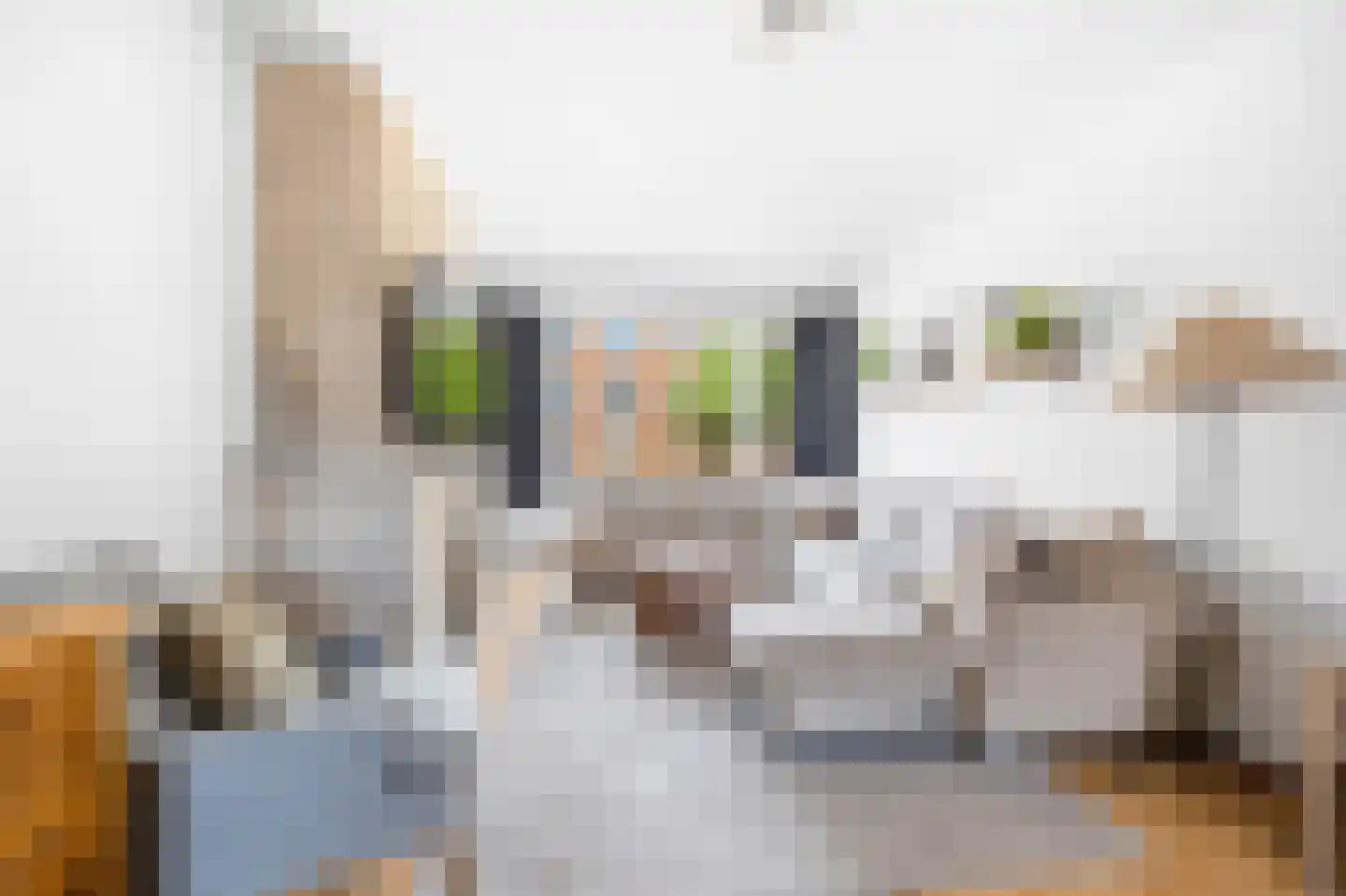 Goeverneurlaan 304 Den Haag thumbnail 11