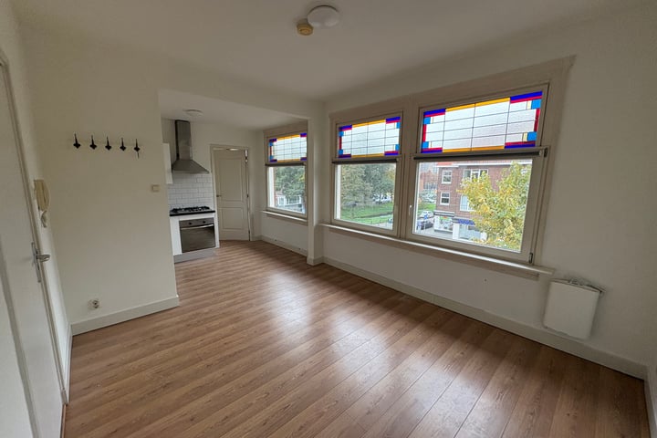 Goeverneurlaan 500 in 's-Gravenhage foto