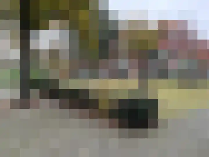 Goeverneurlaan 500 B Den Haag thumbnail 11