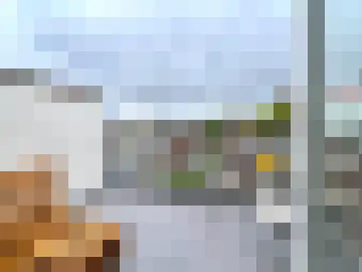 Goeverneurlaan 500 B Den Haag thumbnail 8