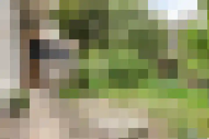 Goeverneurlaan 90 Den Haag thumbnail 19