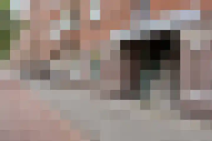 Goeverneurlaan 90 Den Haag thumbnail 7