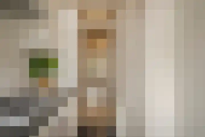 Goeverneurlaan 98 Den Haag thumbnail 11