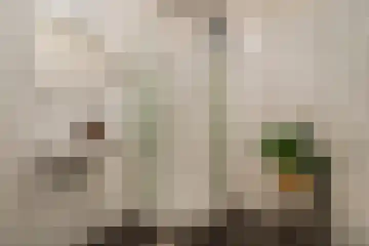 Goeverneurlaan 98 Den Haag thumbnail 16