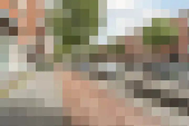 Goeverneurlaan 98 Den Haag thumbnail 26