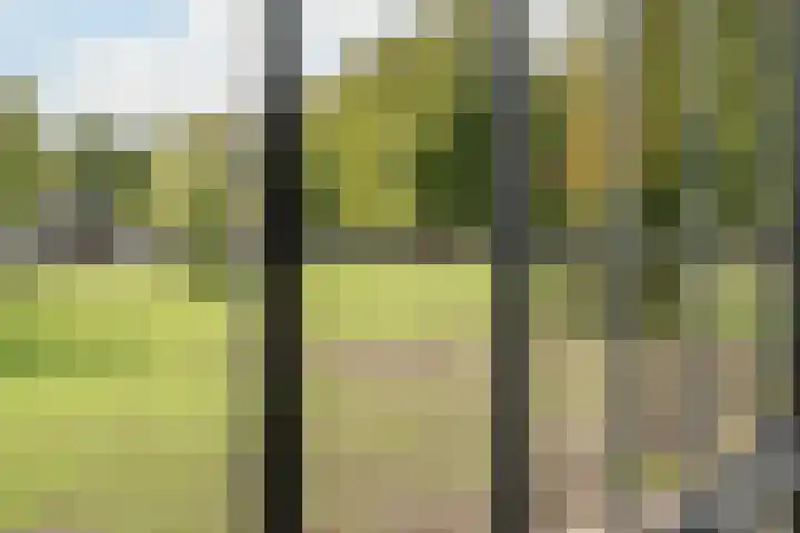 Goeverneurlaan 98 Den Haag thumbnail 32