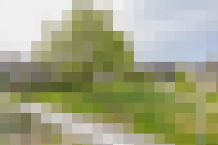 Goeverneurplantsoen 12 Hazerswoude-Rijndijk thumbnail 22