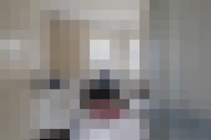 Goeverneurplantsoen 12 Hazerswoude-Rijndijk thumbnail 26