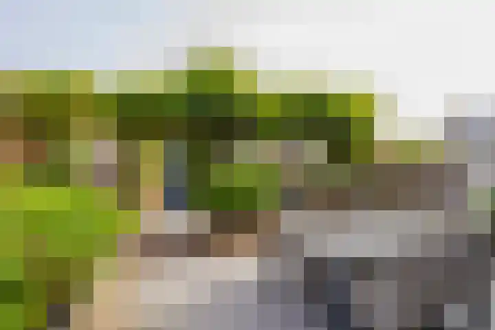 Goeverneurplantsoen 12 Hazerswoude-Rijndijk thumbnail 37