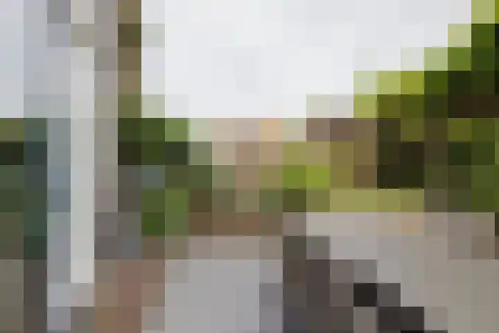 Goeverneurplantsoen 12 Hazerswoude-Rijndijk thumbnail 38