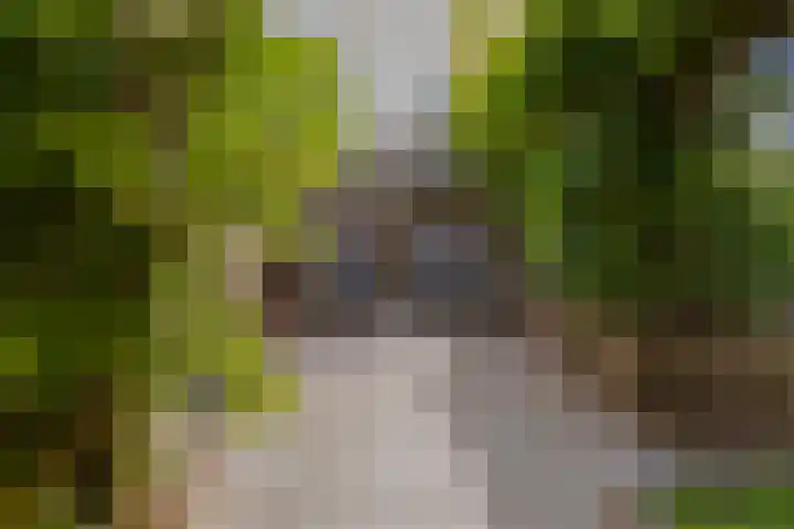 Goeverneurplantsoen 12 Hazerswoude-Rijndijk thumbnail 39