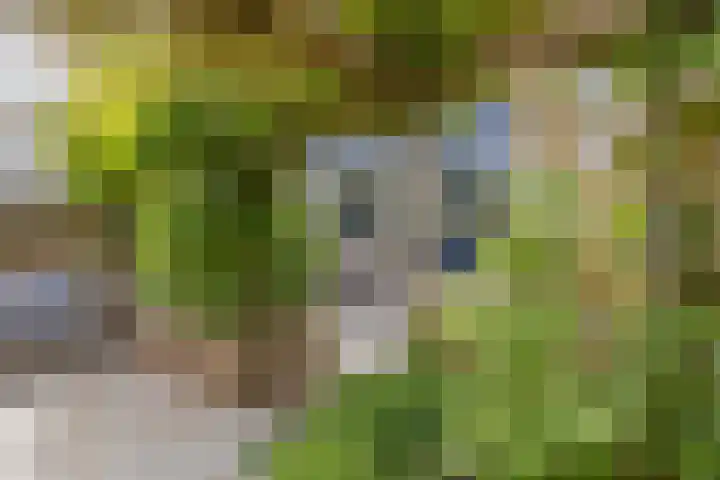 Goeverneurplantsoen 12 Hazerswoude-Rijndijk thumbnail 40