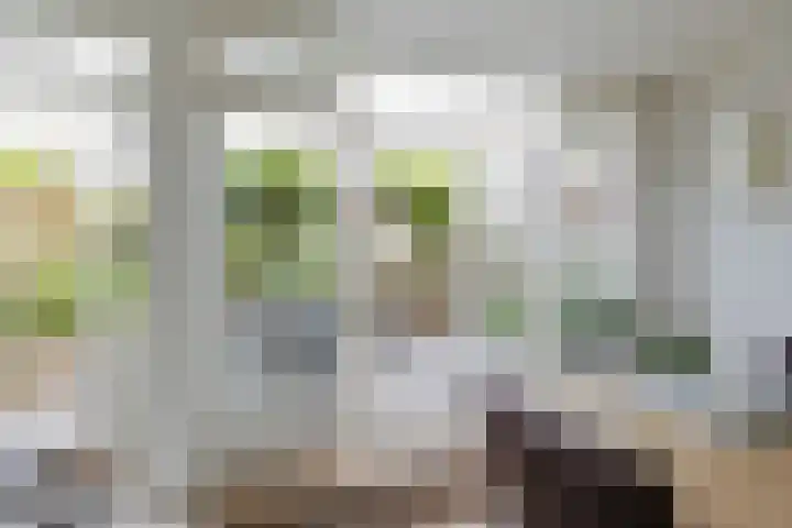 Goeverneurplantsoen 12 Hazerswoude-Rijndijk thumbnail 9