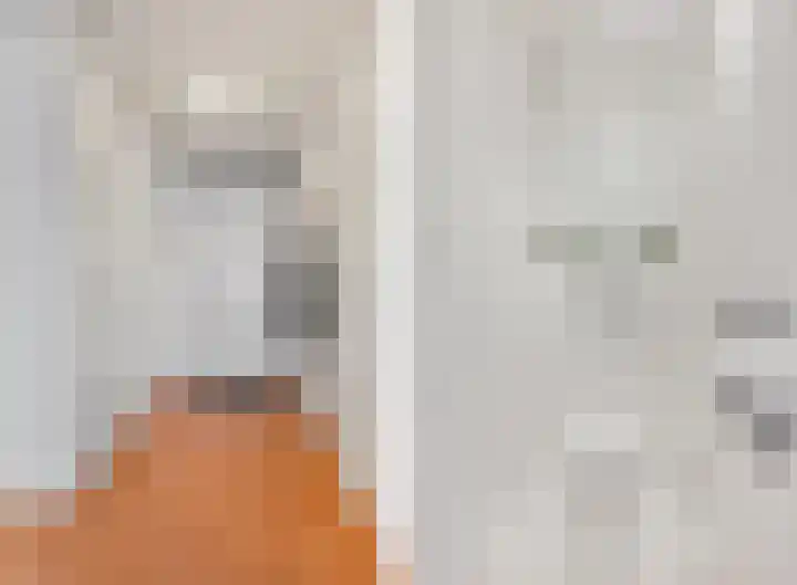 Gogelstraat 19 Oss thumbnail 11