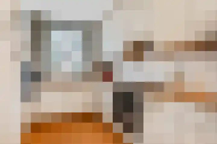 Gogelstraat 19 Oss thumbnail 7