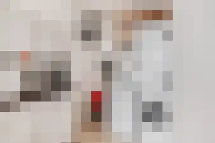 Gogelstraat 19 Oss thumbnail 9
