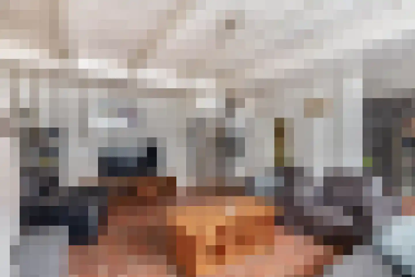 Goidschalxoordsedijk 38 Heinenoord thumbnail 11