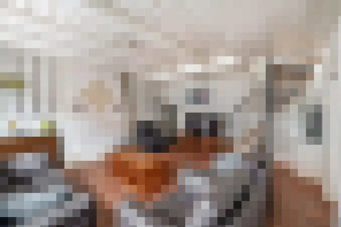 Goidschalxoordsedijk 38 Heinenoord thumbnail 12