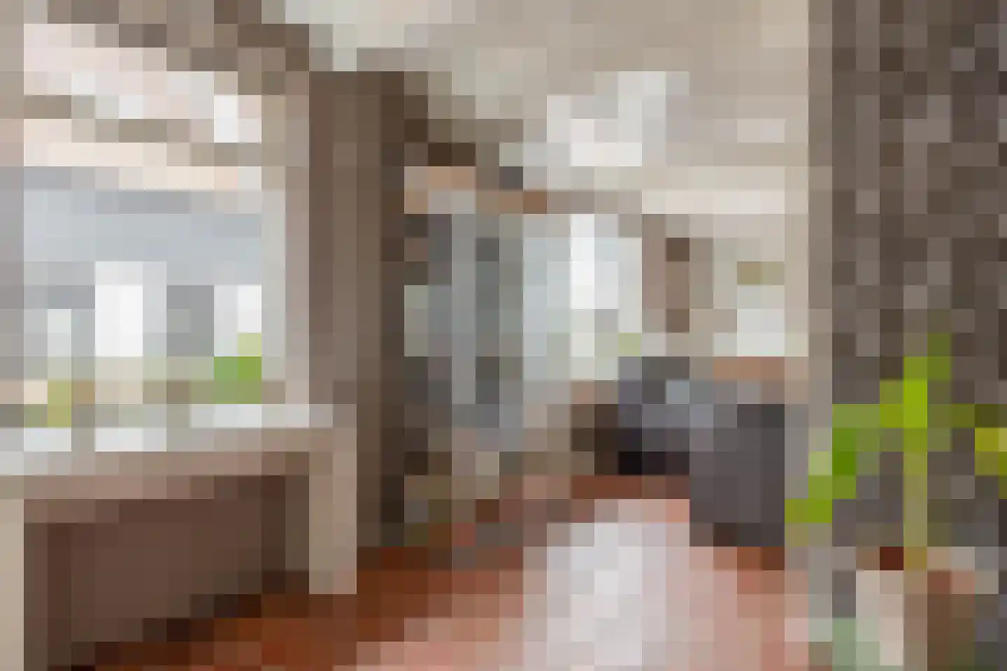 Goidschalxoordsedijk 38 Heinenoord thumbnail 14