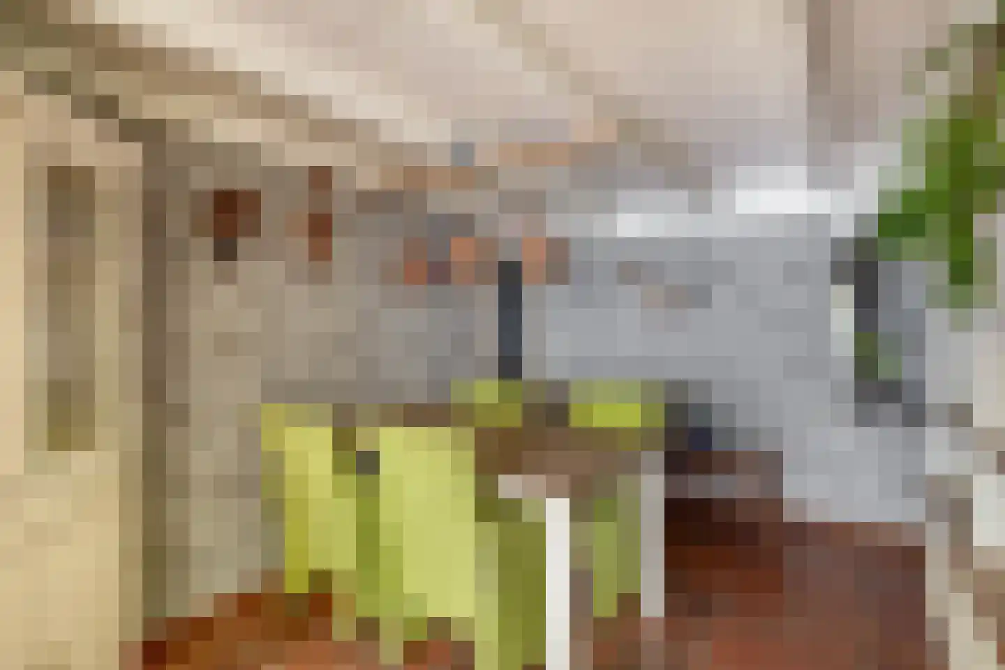 Goidschalxoordsedijk 38 Heinenoord thumbnail 16