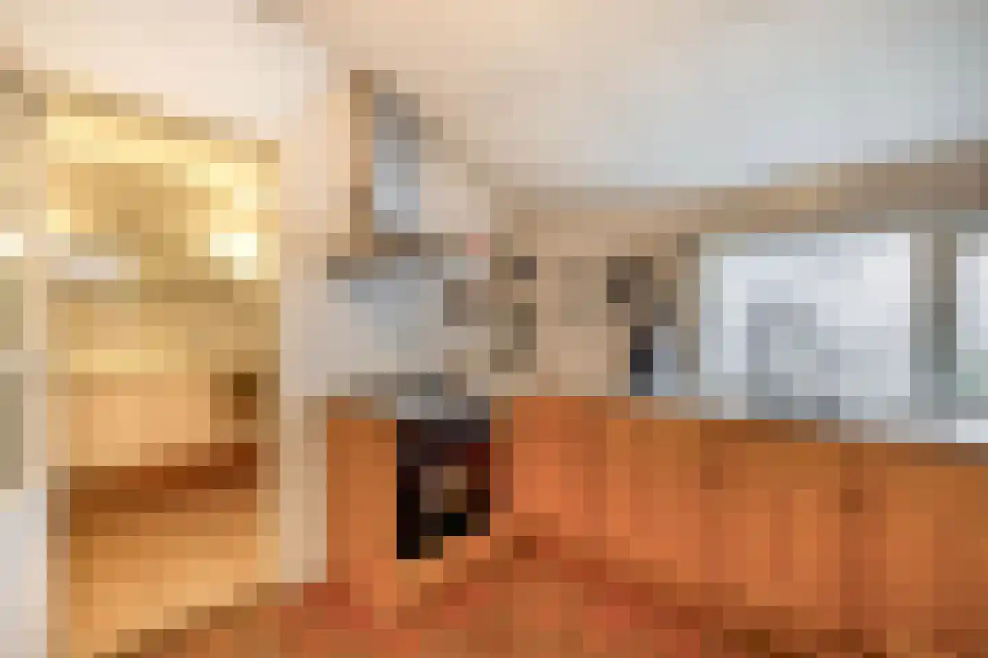 Goidschalxoordsedijk 38 Heinenoord thumbnail 21