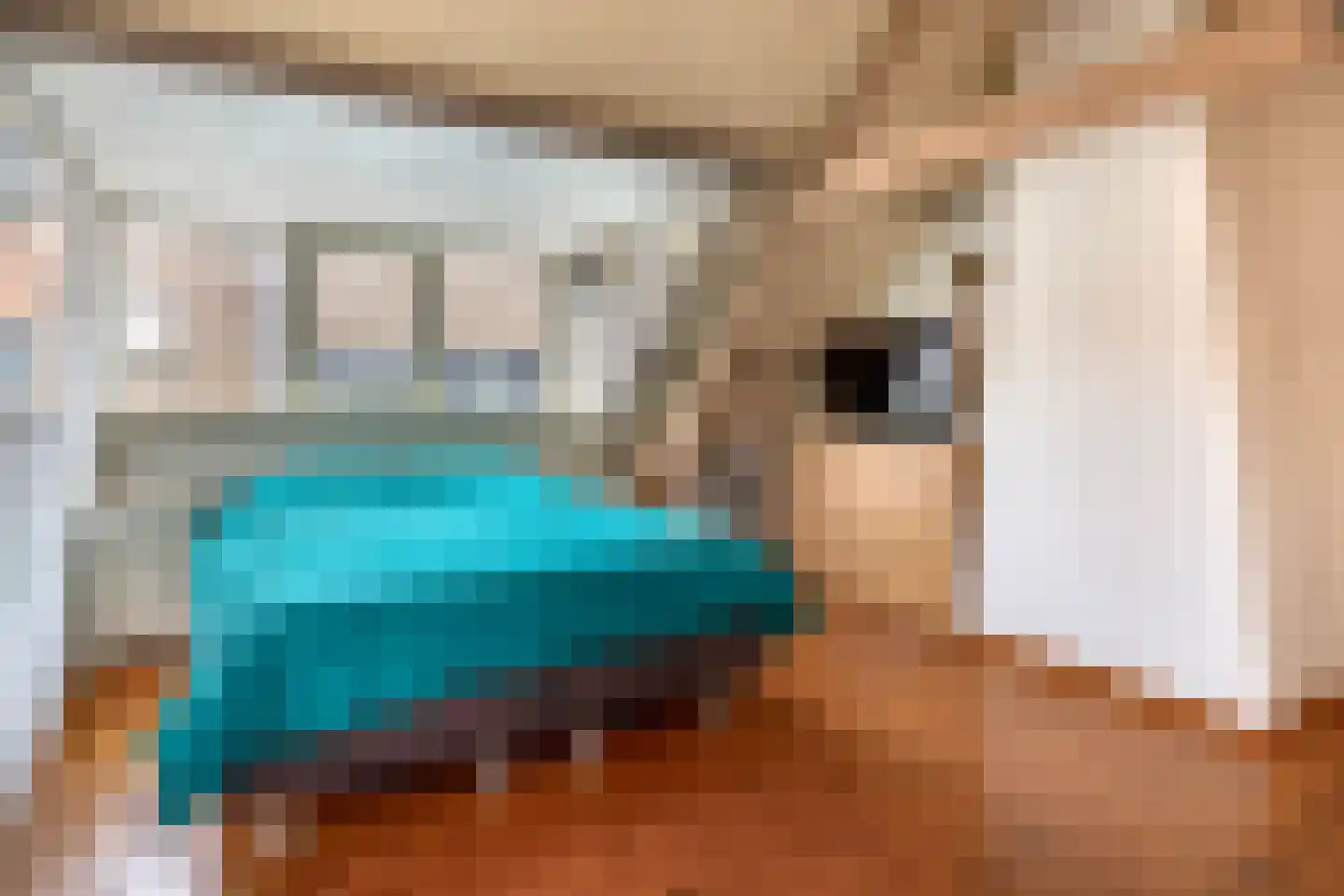 Goidschalxoordsedijk 38 Heinenoord thumbnail 23