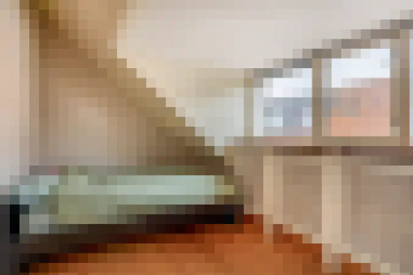 Goidschalxoordsedijk 38 Heinenoord thumbnail 28
