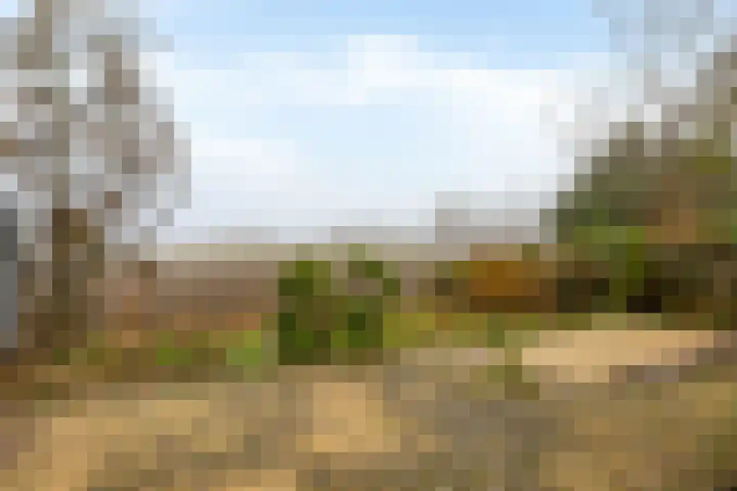 Goidschalxoordsedijk 38 Heinenoord thumbnail 33