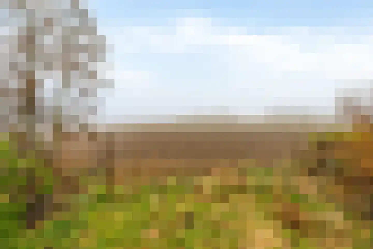 Goidschalxoordsedijk 38 Heinenoord thumbnail 34
