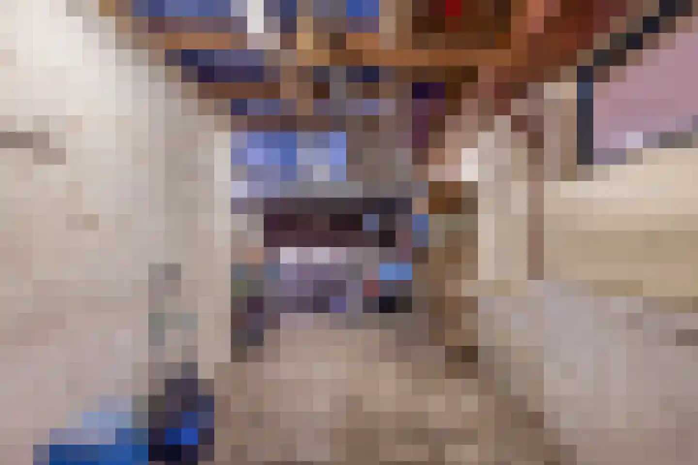 Goidschalxoordsedijk 38 Heinenoord thumbnail 37