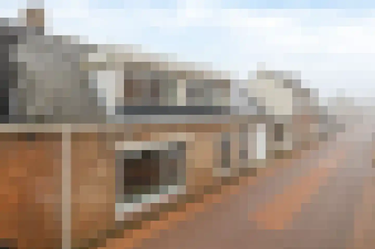 Goidschalxoordsedijk 38 Heinenoord thumbnail 7