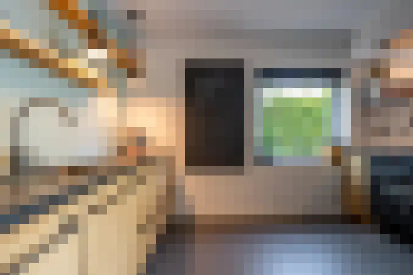 Goidschalxoordsedijk 51 Heinenoord thumbnail 13