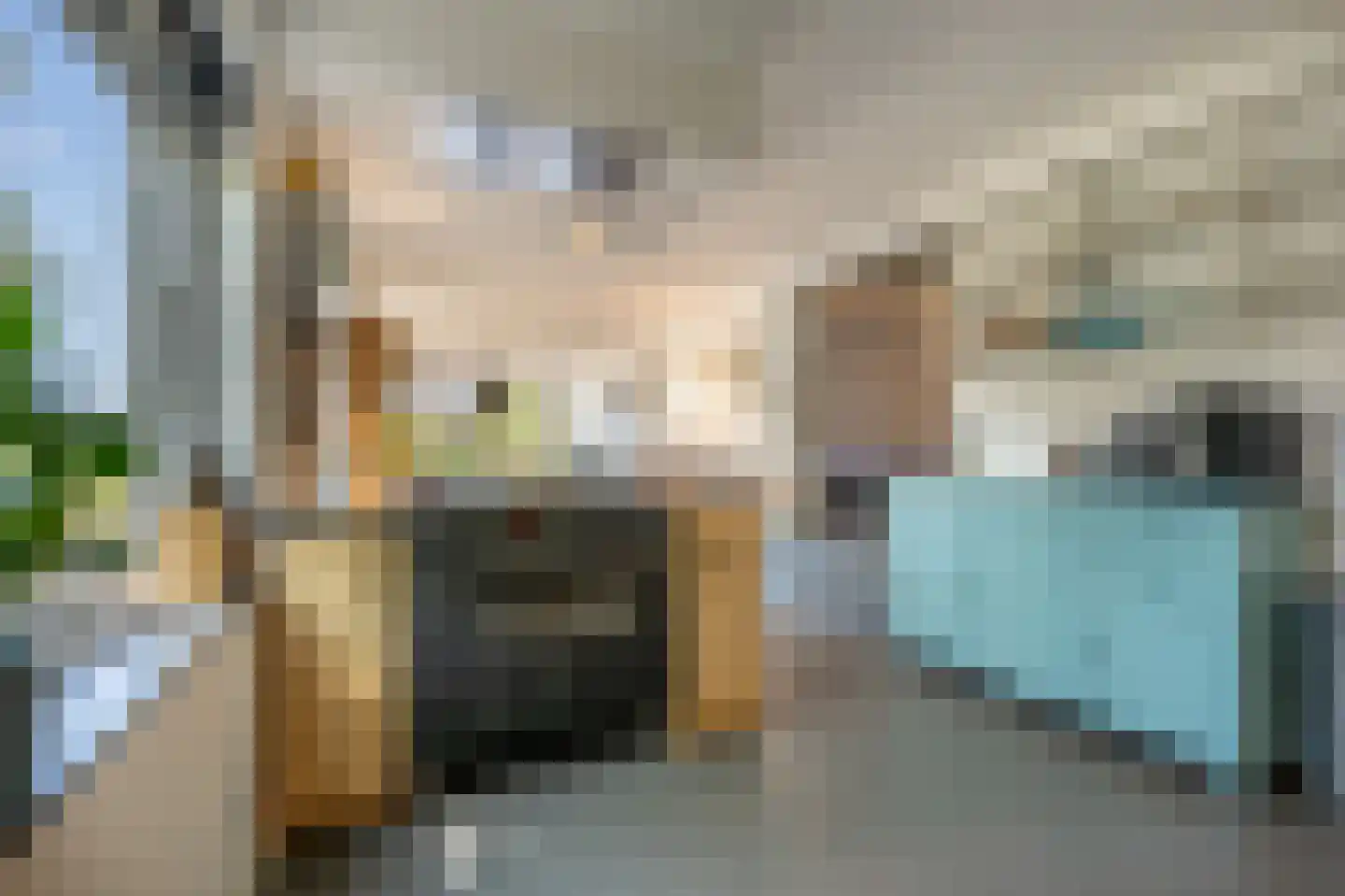 Goidschalxoordsedijk 51 Heinenoord thumbnail 14