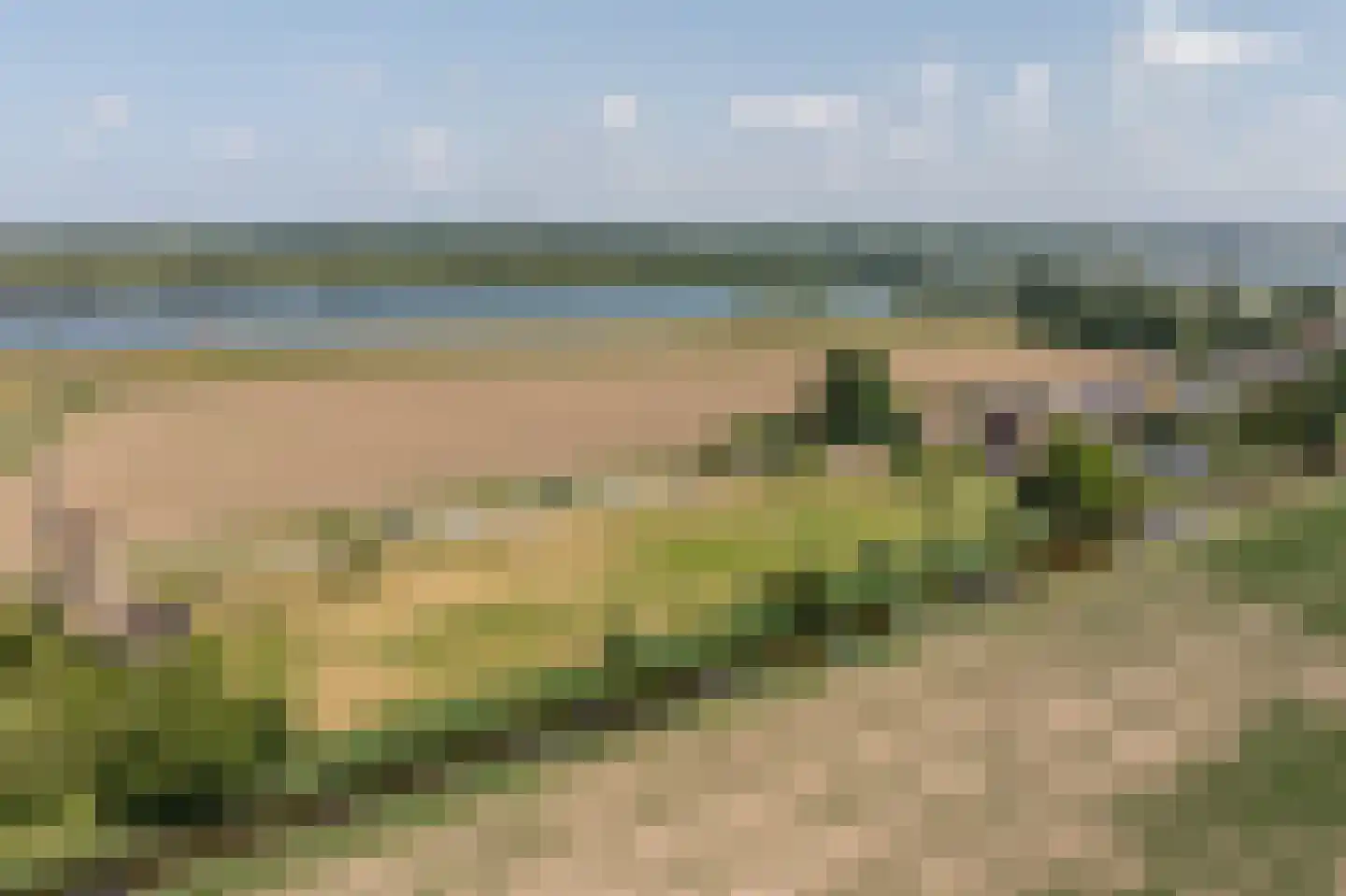 Goidschalxoordsedijk 51 Heinenoord foto 2