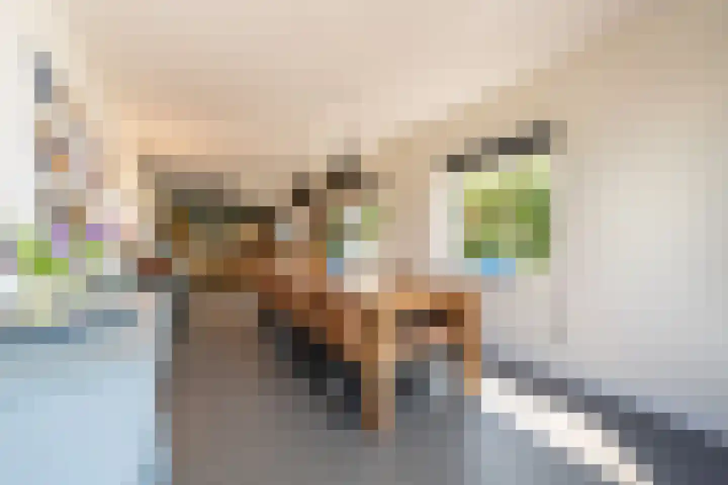Goidschalxoordsedijk 51 Heinenoord thumbnail 20