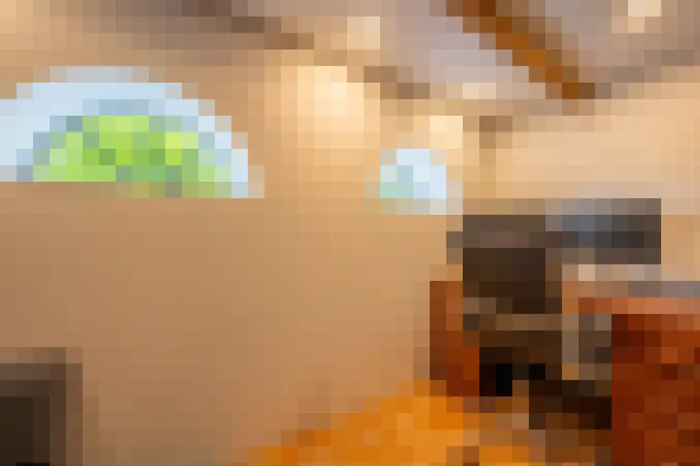 Goidschalxoordsedijk 51 Heinenoord thumbnail 22