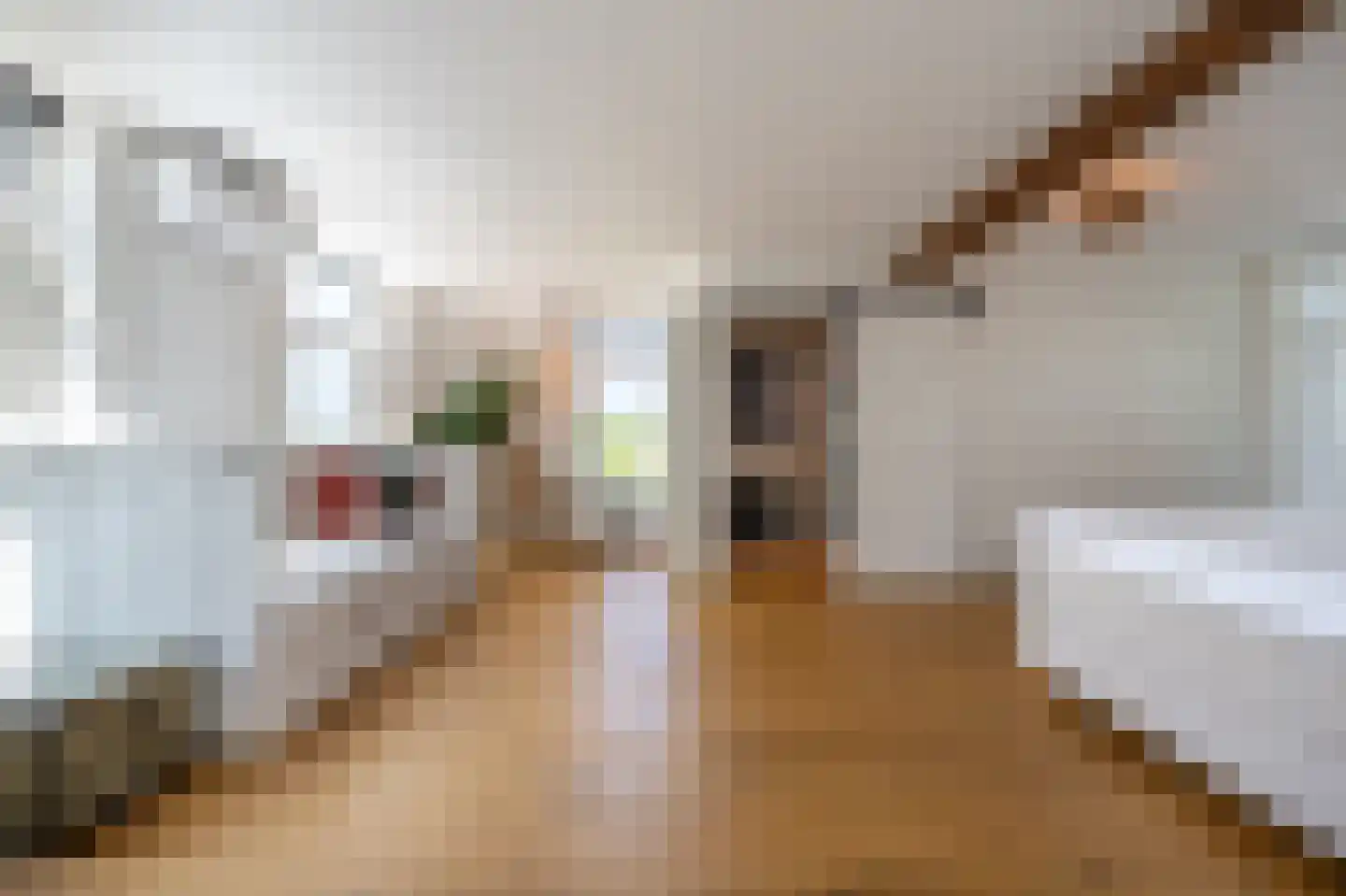 Goidschalxoordsedijk 51 Heinenoord thumbnail 25