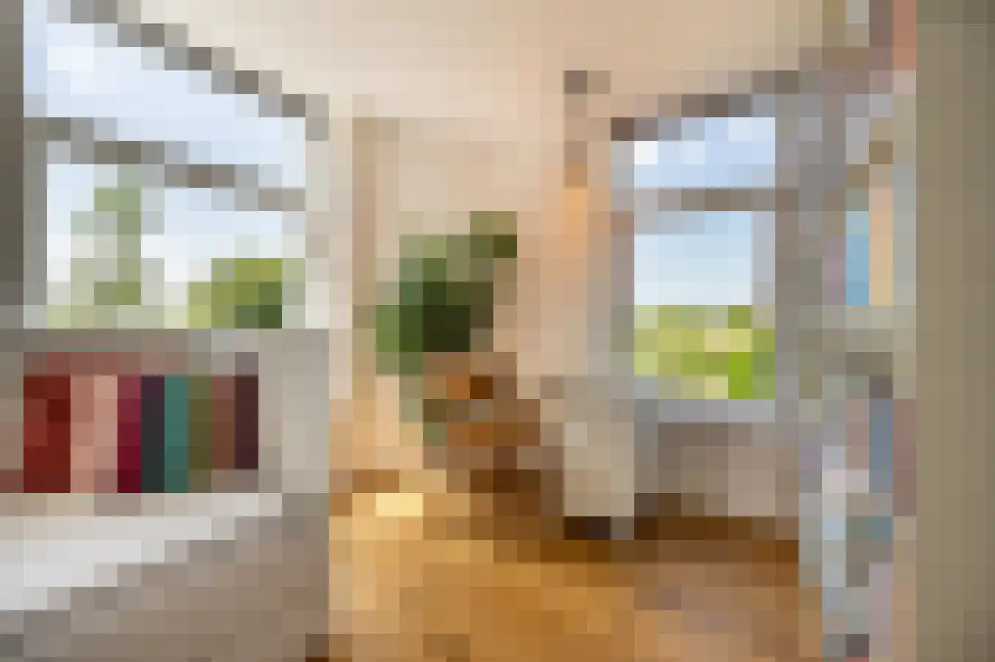 Goidschalxoordsedijk 51 Heinenoord thumbnail 29