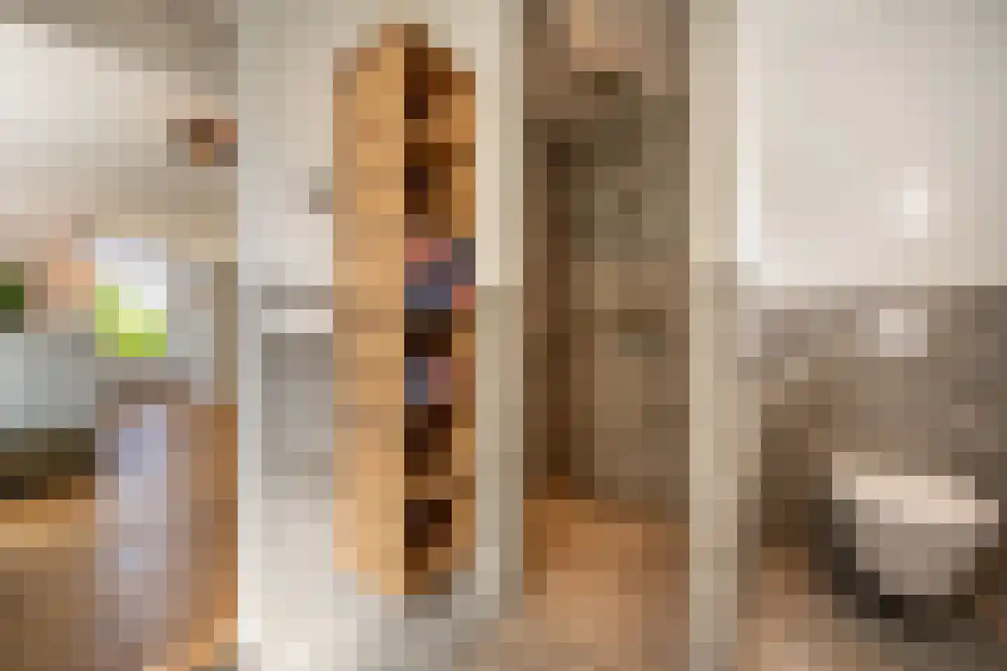 Goidschalxoordsedijk 51 Heinenoord thumbnail 31