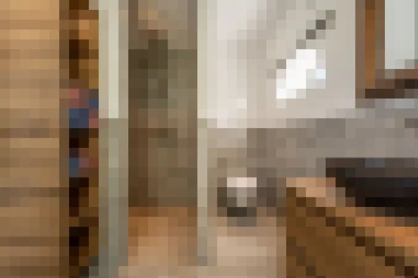 Goidschalxoordsedijk 51 Heinenoord thumbnail 32