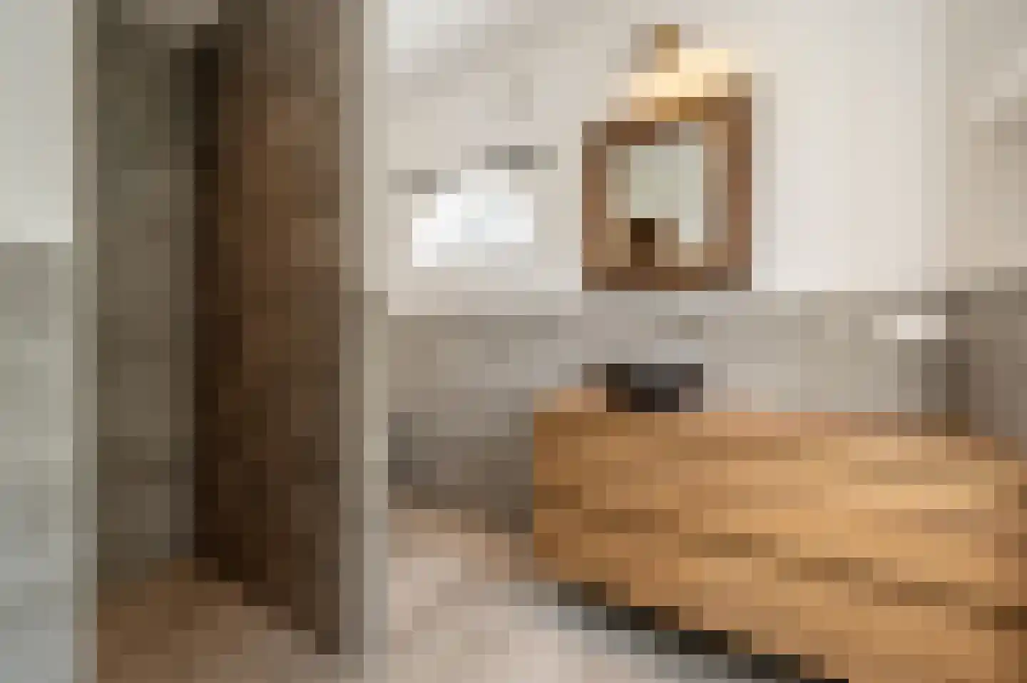Goidschalxoordsedijk 51 Heinenoord thumbnail 33