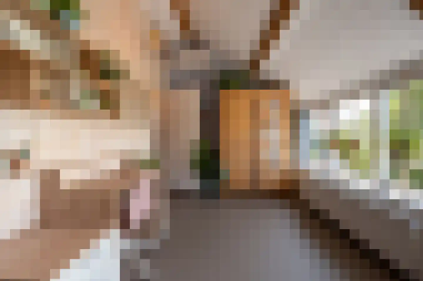 Goidschalxoordsedijk 51 Heinenoord thumbnail 37