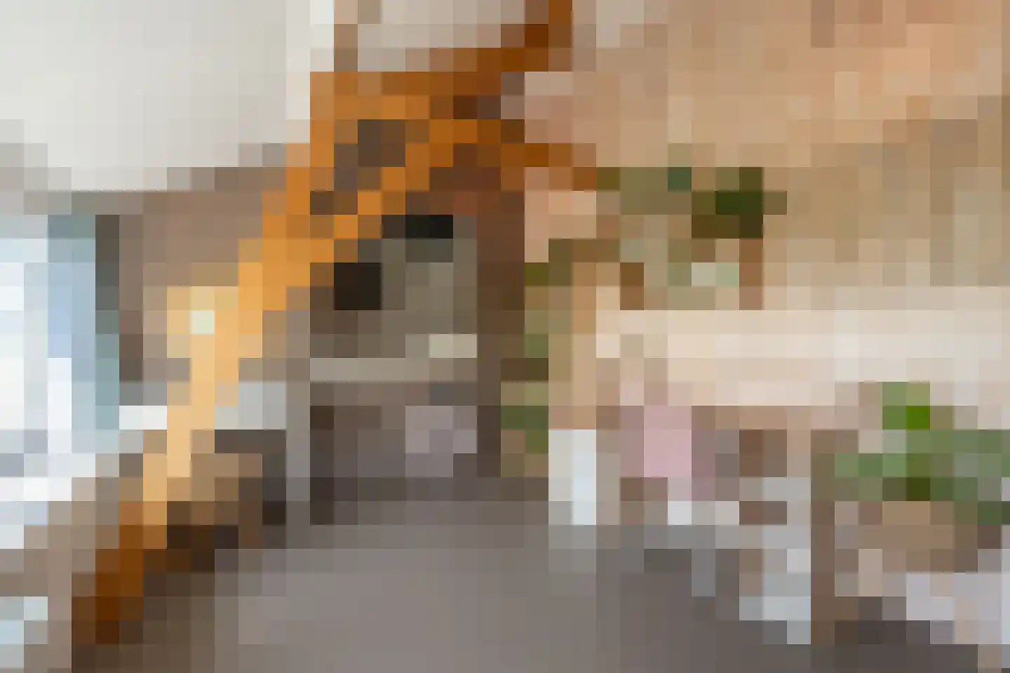 Goidschalxoordsedijk 51 Heinenoord thumbnail 38