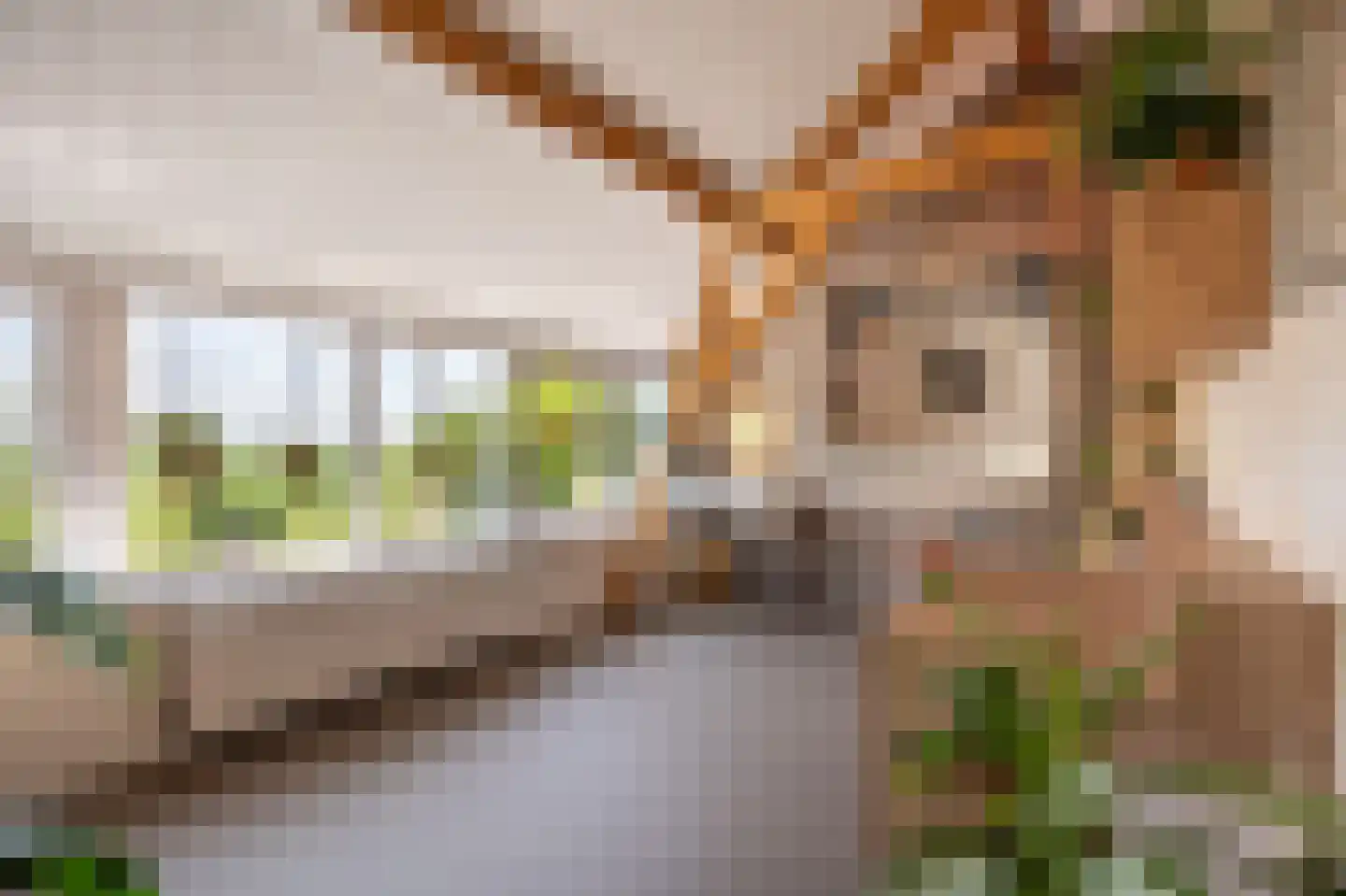 Goidschalxoordsedijk 51 Heinenoord thumbnail 39