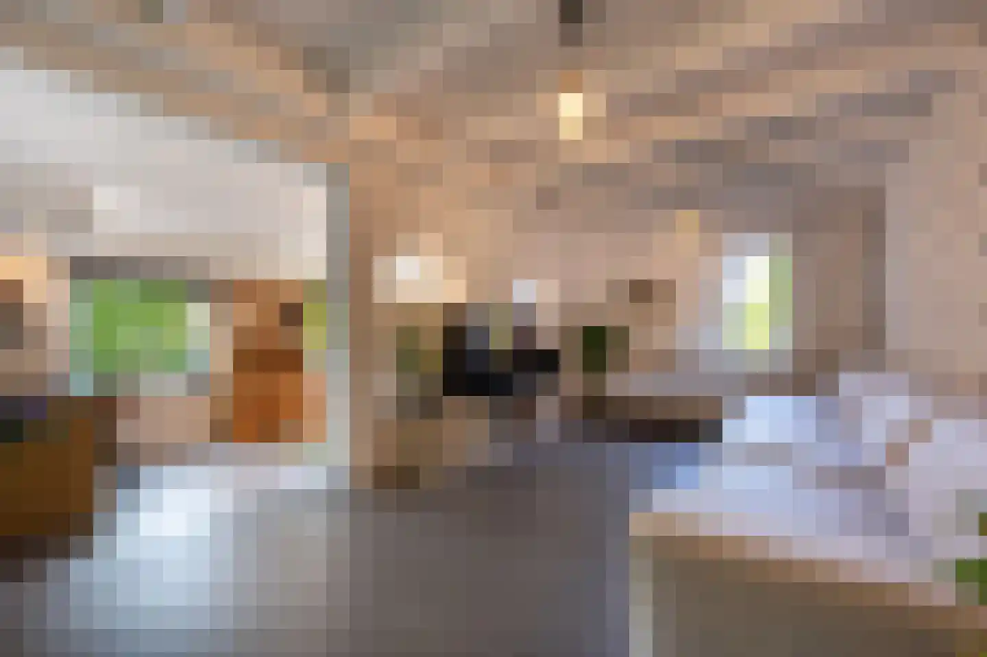Goidschalxoordsedijk 51 Heinenoord thumbnail 4