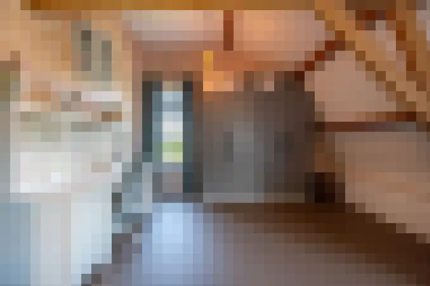 Goidschalxoordsedijk 51 Heinenoord thumbnail 41
