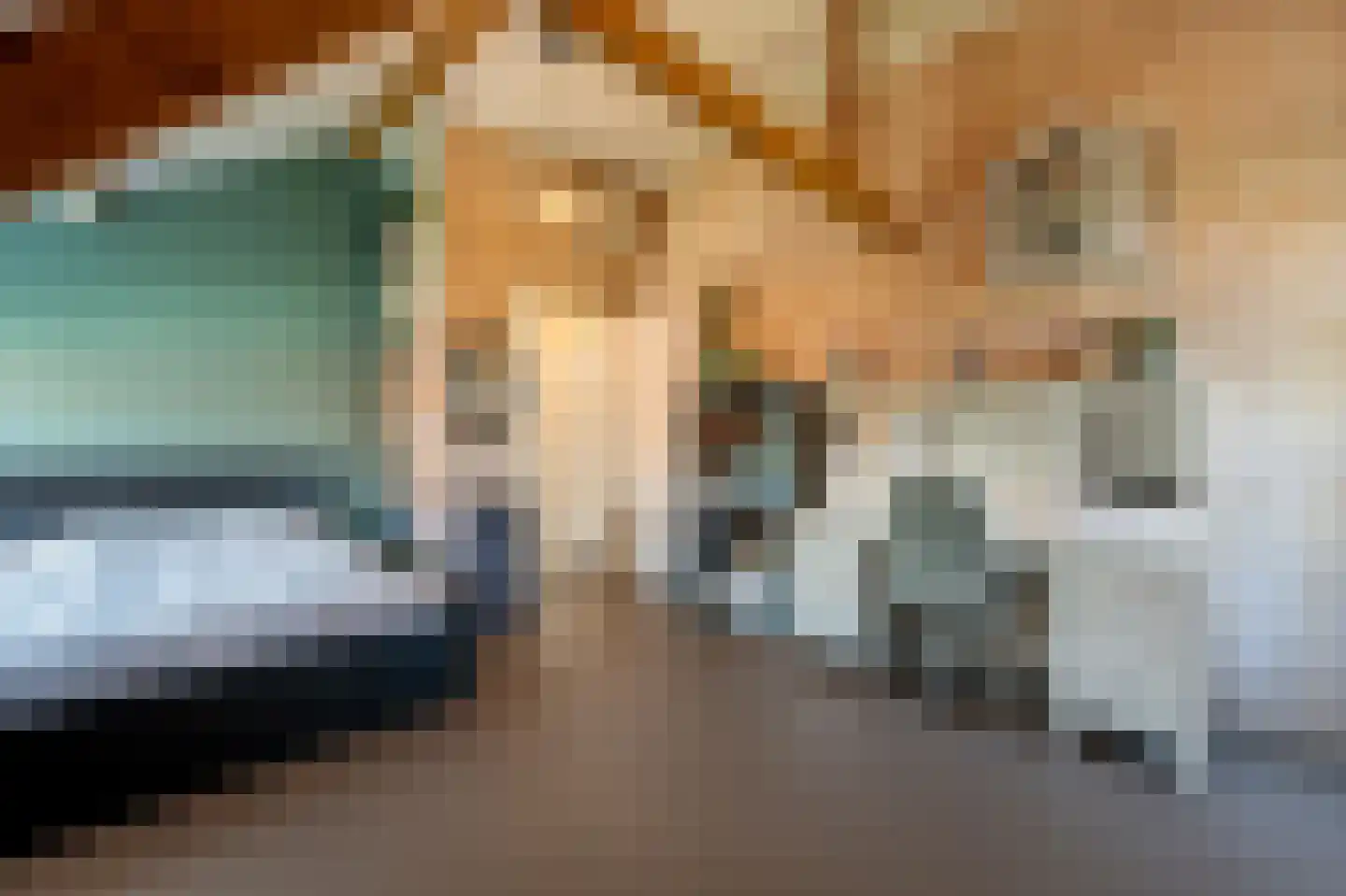 Goidschalxoordsedijk 51 Heinenoord thumbnail 43