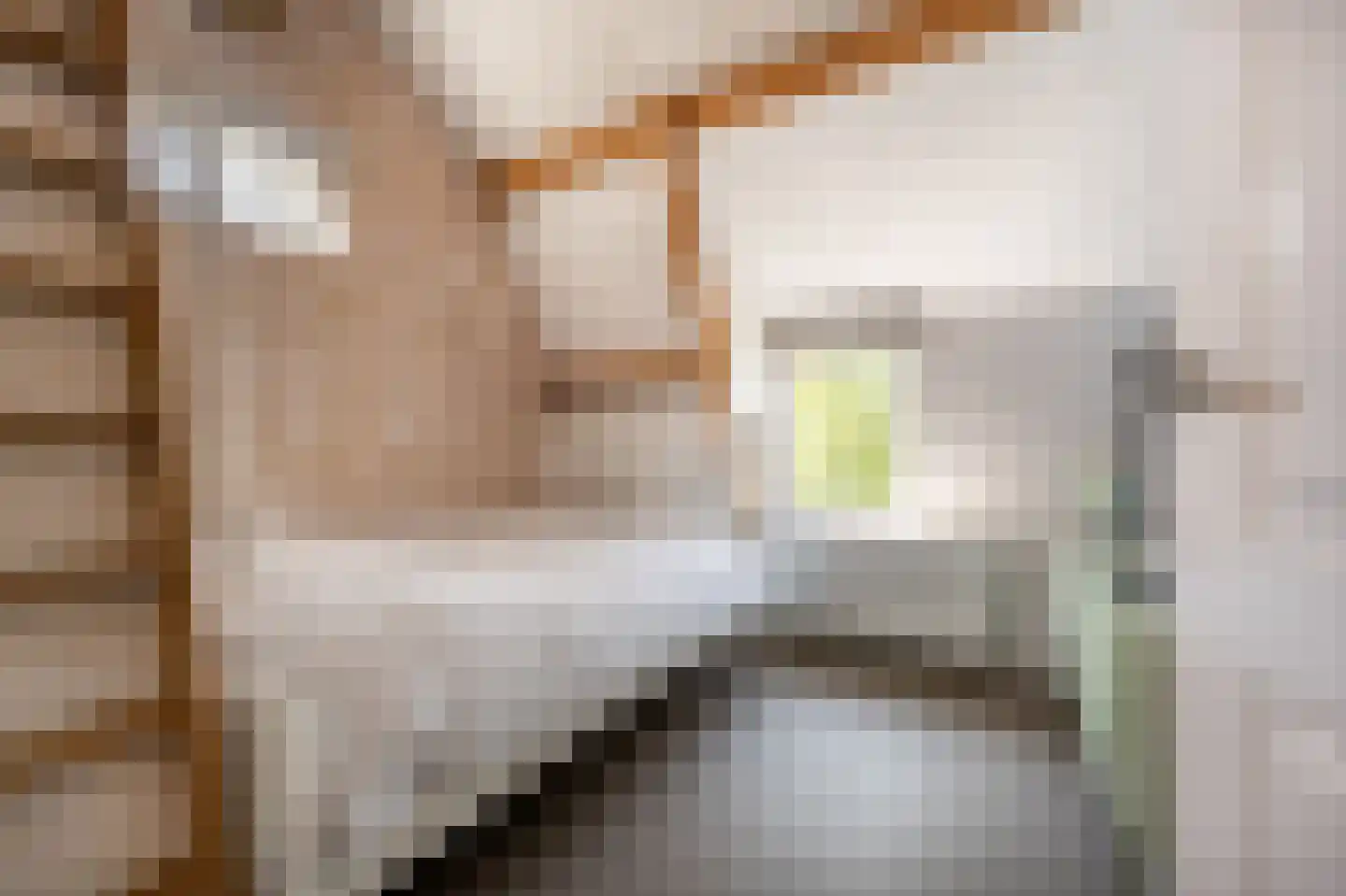 Goidschalxoordsedijk 51 Heinenoord thumbnail 44