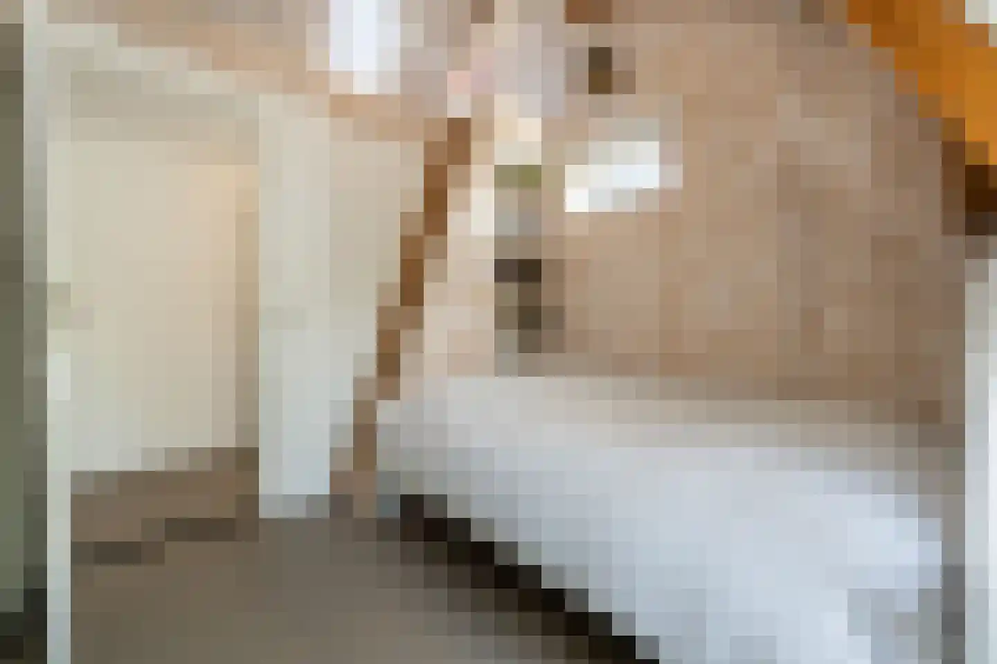 Goidschalxoordsedijk 51 Heinenoord thumbnail 45